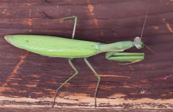 Urheber: Sandra Schneider