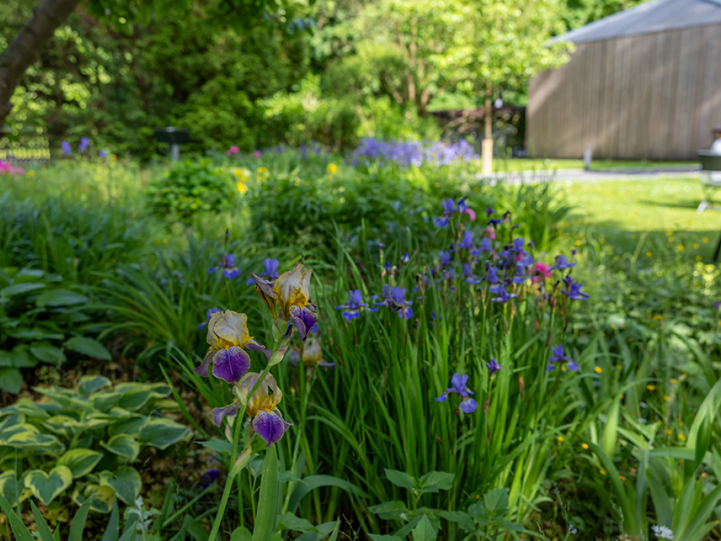 Urheber: Andreas Prinz