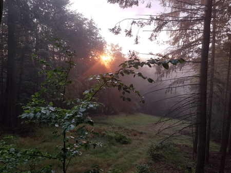 Urheber: Oberbarnimer Kulturverein e.V.