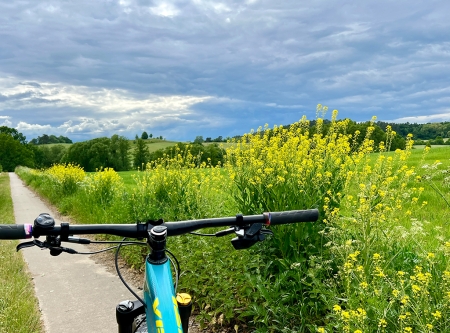 Urheber: Steffen Herre