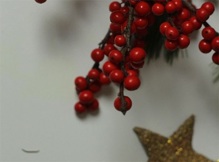 Urheber: Larissa Schulz