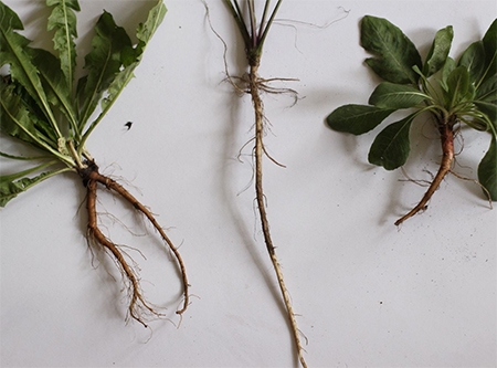 Urheber: Larissa Schulz