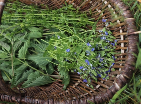 Urheber: Larissa Schulz