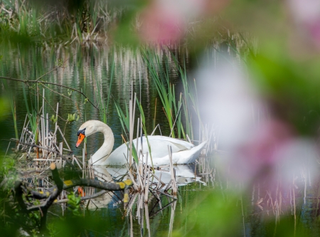Urheber: Steffen Herre