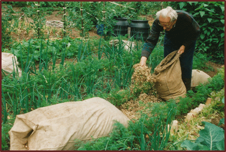 Urheber: Haus der Naturpflege