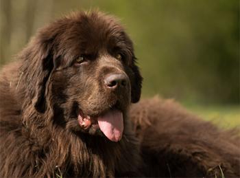 Urheber: pr Stephanie Wilke