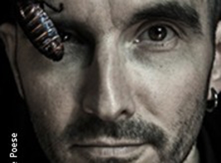 Urheber: Meike Poese