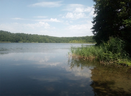 Urheber: A. Schwiering