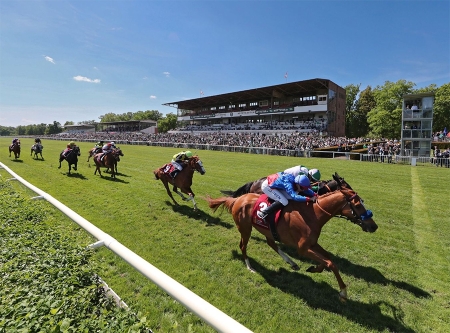 Urheber: galoppfoto.de