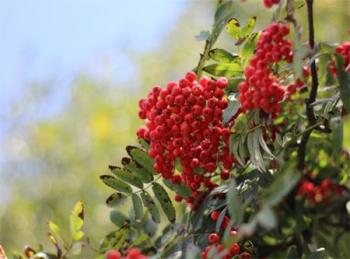 Urheber: Larissa Schulz