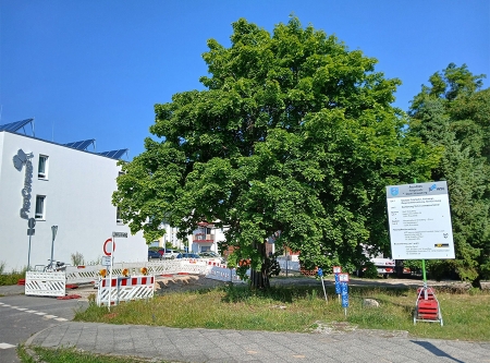 Urheber: H.-W. Bobke