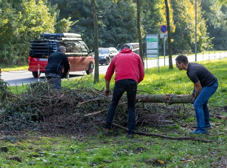 Thmubnail: Herbstputz am Straussee