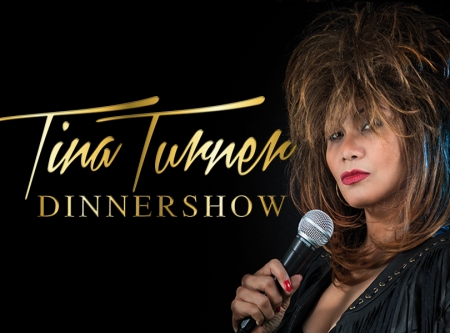 Thmubnail: Tina Turner Dinner Show