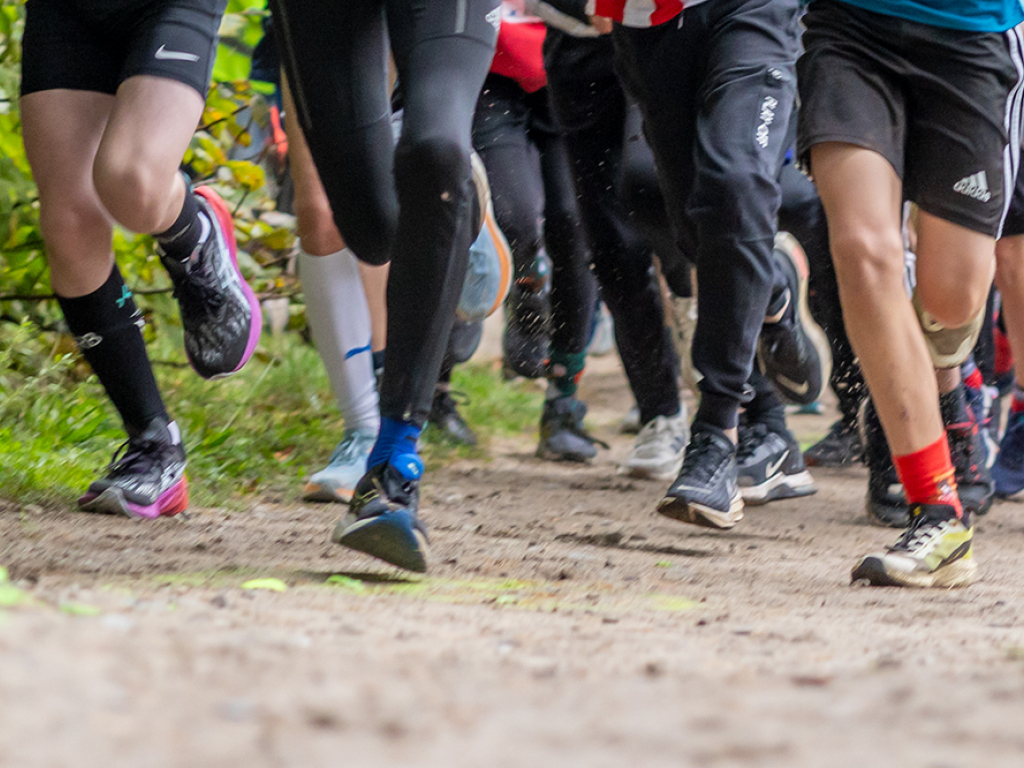 Urheber: Andreas Prinz