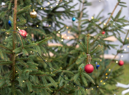 Urheber: Andreas Prinz